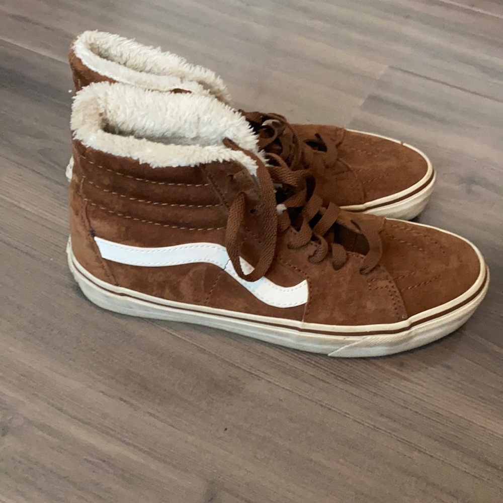 Vans Suede Fluffy Skate Hi Top